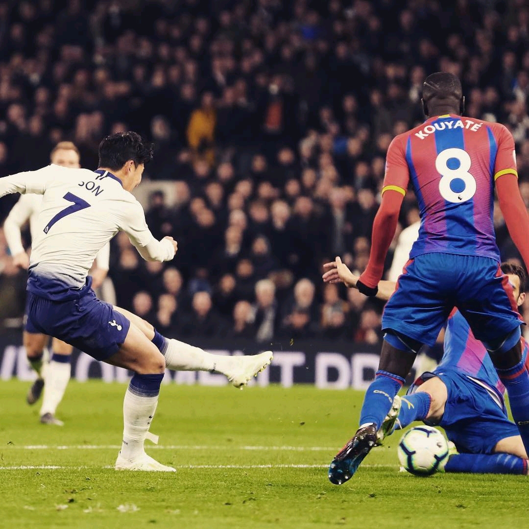 种鼓励和积 种鼓励和积